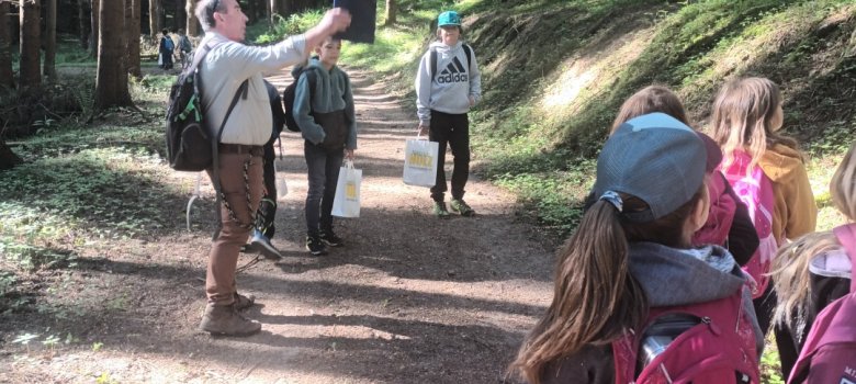 Waldjugendspiele 2025 Waldjugendspiele 2025