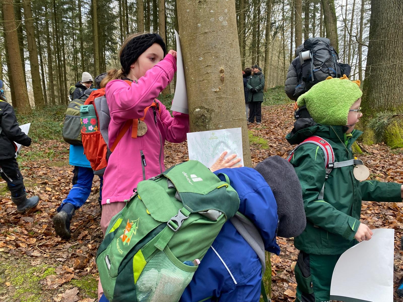 Waldführung 2 GS Wershofen